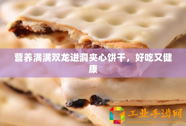 營養滿滿雙龍進洞夾心餅干，好吃又健康