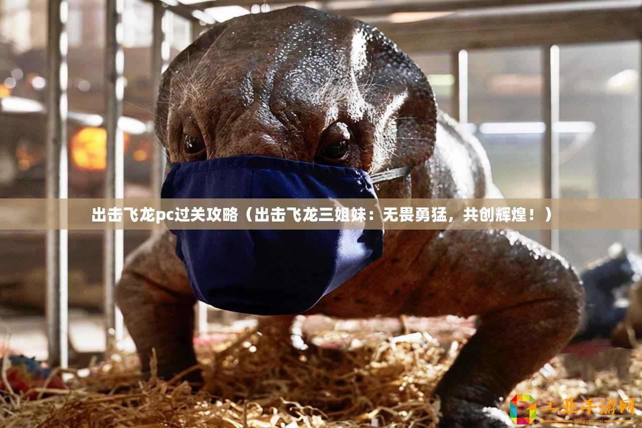 出擊飛龍pc過(guò)關(guān)攻略（出擊飛龍三姐妹：無(wú)畏勇猛，共創(chuàng)輝煌！）