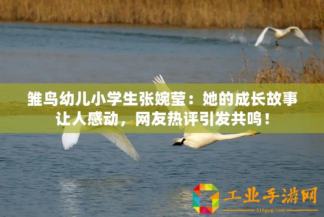 雛鳥幼兒小學生張婉瑩：她的成長故事讓人感動，網友熱評引發共鳴！