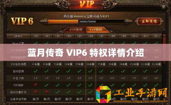 藍(lán)月傳奇 VIP6 特權(quán)詳情介紹
