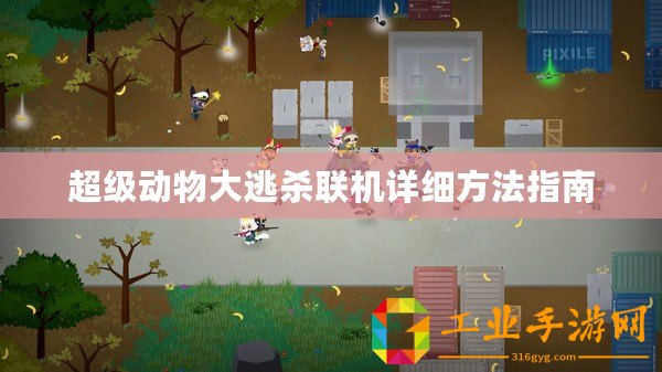 超級動物大逃殺聯(lián)機(jī)詳細(xì)方法指南