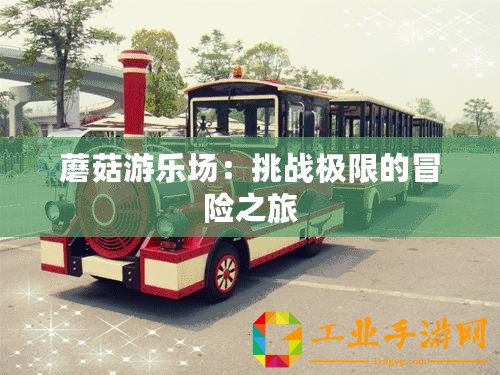 蘑菇游樂場(chǎng)：挑戰(zhàn)極限的冒險(xiǎn)之旅