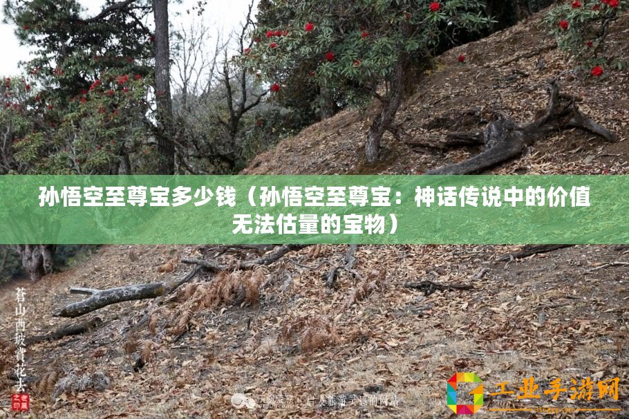 孫悟空至尊寶多少錢（孫悟空至尊寶：神話傳說中的價(jià)值無法估量的寶物）