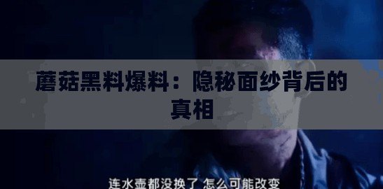 ??麥芬探險家必看解鎖高性價比禮包，氪金不迷路全攻略！??