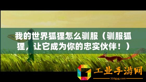 我的世界狐貍怎么馴服（馴服狐貍，讓它成為你的忠實伙伴！）