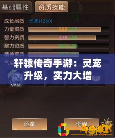 軒轅傳奇手游：靈寵升級(jí)，實(shí)力大增