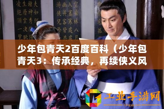 少年包青天2百度百科（少年包青天3：傳承經典，再續俠義風云）