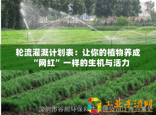 輪流灌溉計(jì)劃表：讓你的植物養(yǎng)成“網(wǎng)紅”一樣的生機(jī)與活力