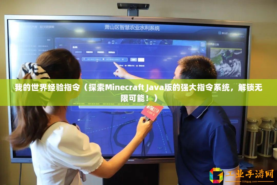 我的世界經驗指令（探索Minecraft Java版的強大指令系統，解鎖無限可能！）