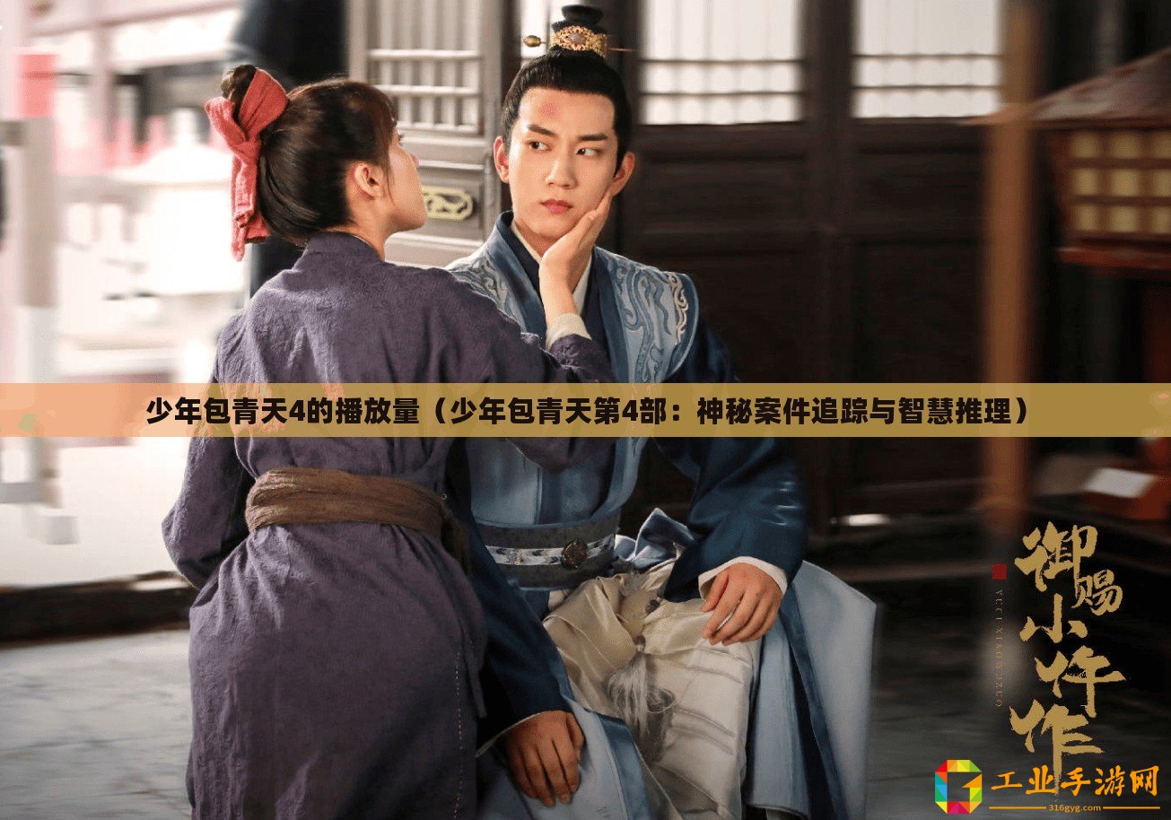 少年包青天4的播放量（少年包青天第4部：神秘案件追蹤與智慧推理）