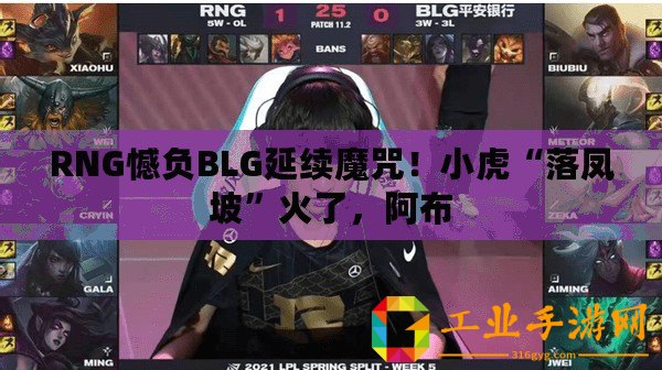 RNG憾負BLG延續魔咒！小虎“落鳳坡”火了，阿布