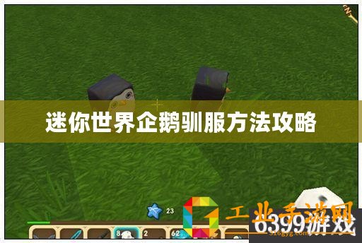 迷你世界企鵝馴服方法攻略