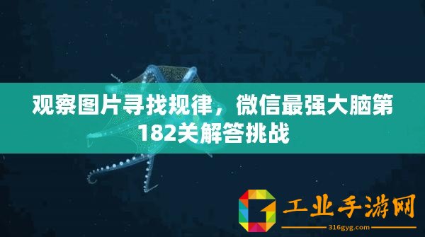 觀察圖片尋找規律，微信最強大腦第182關解答挑戰