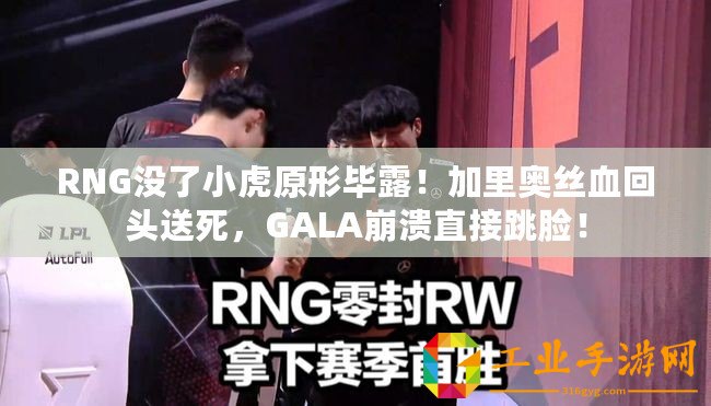 RNG沒了小虎原形畢露！加里奧絲血回頭送死，GALA崩潰直接跳臉！