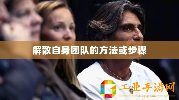 解散自身團(tuán)隊(duì)的方法或步驟