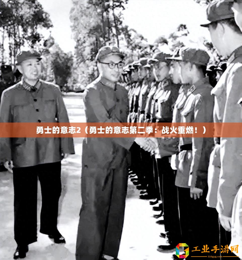 勇士的意志2（勇士的意志第二季：戰火重燃！）