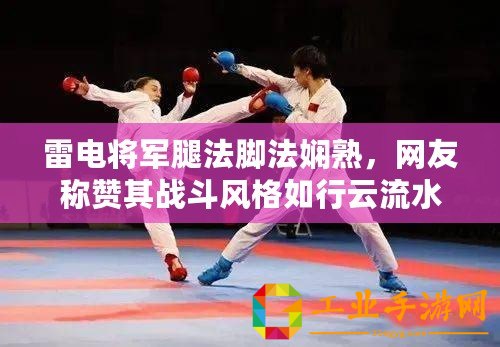 雷電將軍腿法腳法嫻熟，網(wǎng)友稱贊其戰(zhàn)斗風(fēng)格如行云流水般靈動(dòng)！