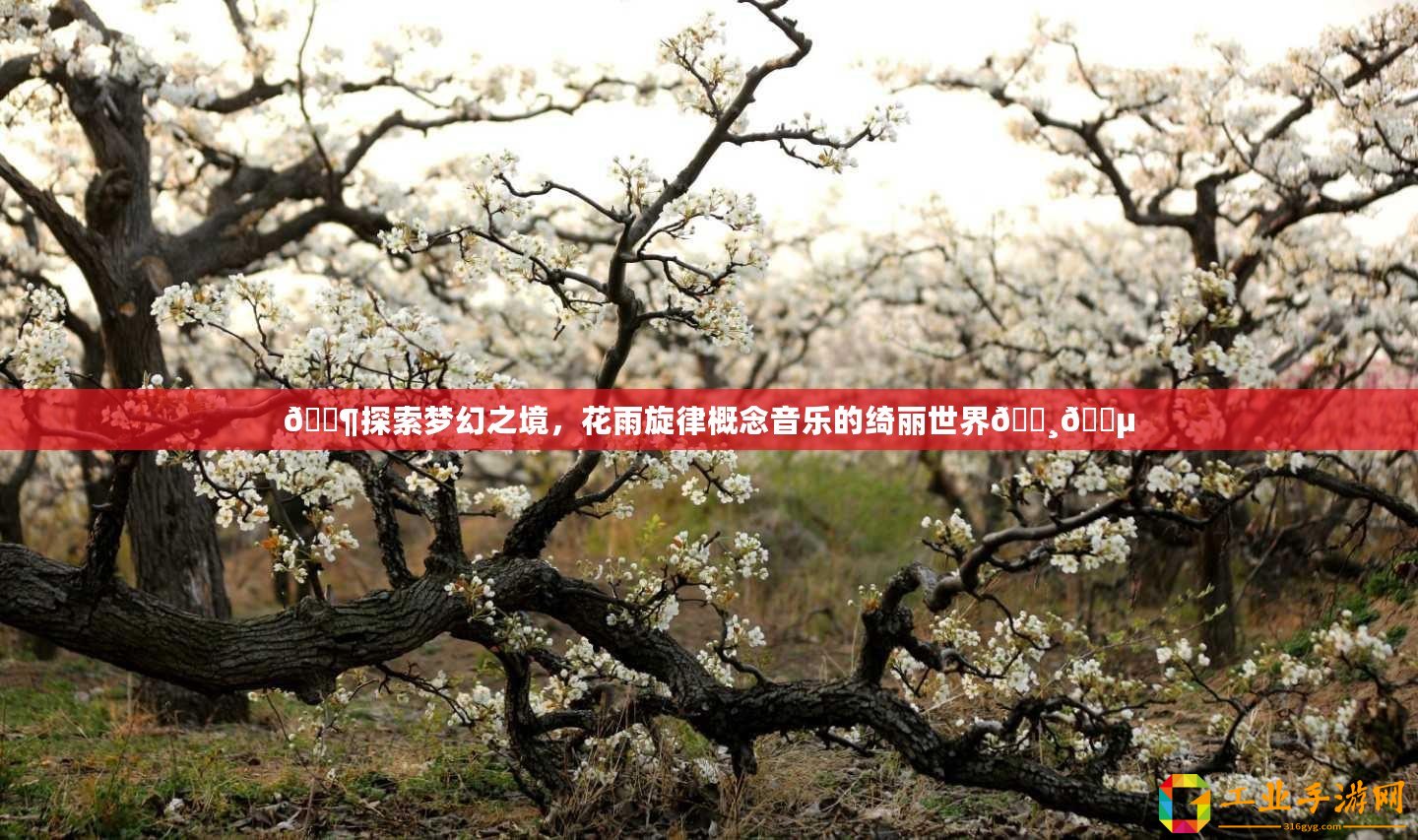 ??探索夢幻之境，花雨旋律概念音樂的綺麗世界????