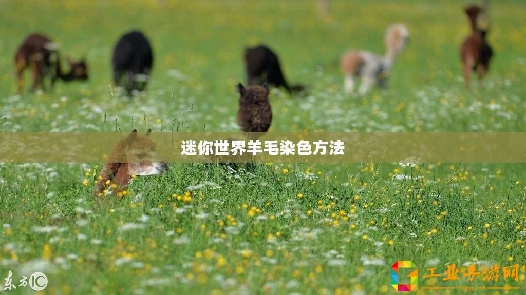 迷你世界羊毛染色方法