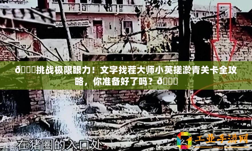 ??挑戰極限眼力！文字找茬大師小英搓淤青關卡全攻略，你準備好了嗎？??