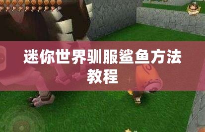 迷你世界馴服鯊魚方法教程