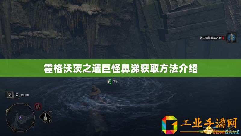 霍格沃茨之遺巨怪鼻涕獲取方法介紹