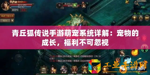 青丘狐傳說手游萌寵系統(tǒng)詳解：寵物的成長，福利不可忽視