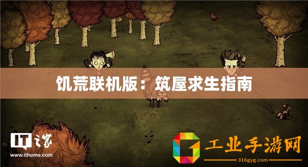 饑荒聯機版：筑屋求生指南