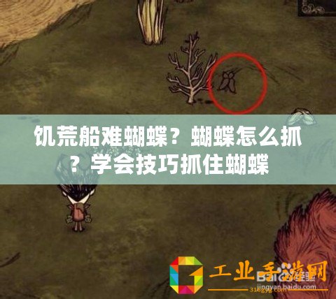 饑荒船難蝴蝶？蝴蝶怎么抓？學(xué)會技巧抓住蝴蝶