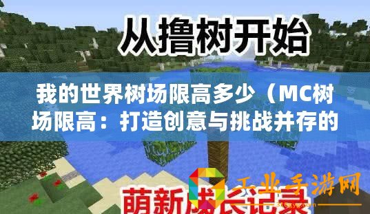 我的世界樹場限高多少（MC樹場限高：打造創(chuàng)意與挑戰(zhàn)并存的極致游樂體驗(yàn)！）