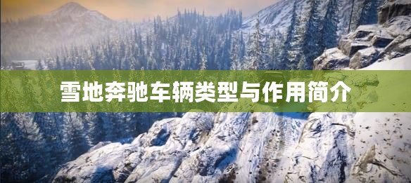雪地奔馳車輛類型與作用簡介