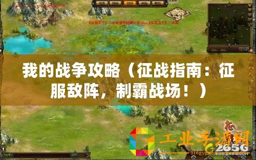 我的戰爭攻略(征戰指南:征服敵陣,制霸戰場?。? title=