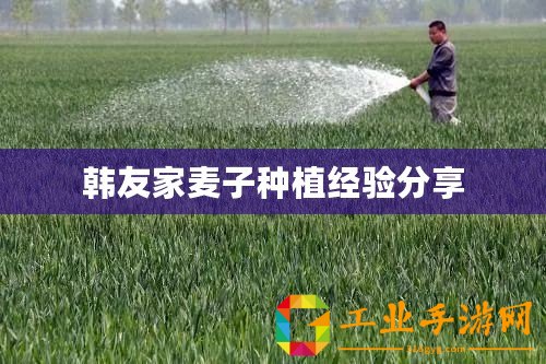 韓友家麥子種植經驗分享