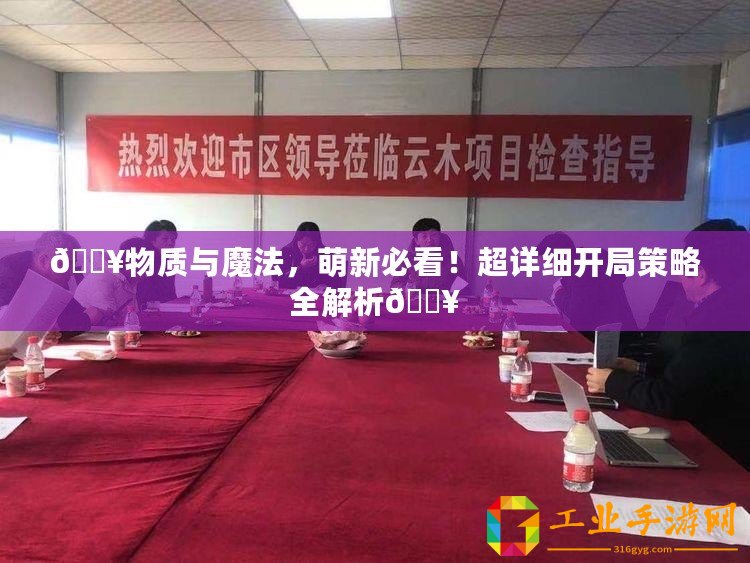 ??物質與魔法，萌新必看！超詳細開局策略全解析??