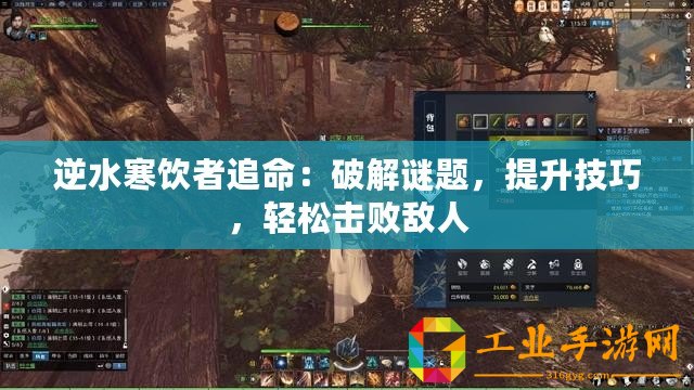 逆水寒飲者追命：破解謎題，提升技巧，輕松擊敗敵人