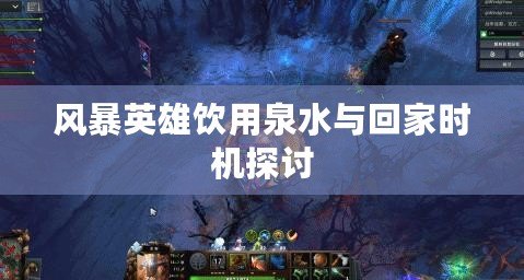 風(fēng)暴英雄飲用泉水與回家時機探討