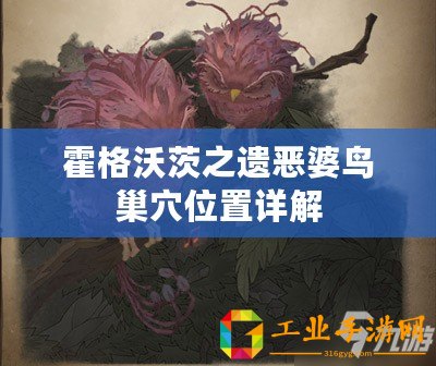霍格沃茨之遺惡婆鳥巢穴位置詳解