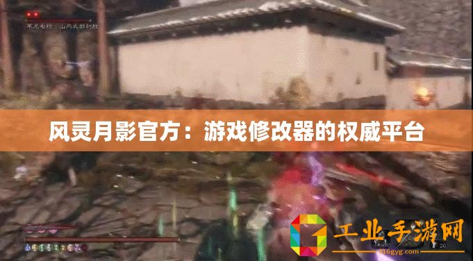 風靈月影官方：游戲修改器的權威平臺