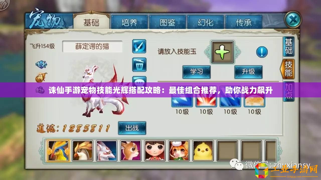 誅仙手游寵物技能光輝搭配攻略：最佳組合推薦，助你戰力飆升