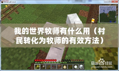 我的世界牧師有什么用（村民轉(zhuǎn)化為牧師的有效方法）