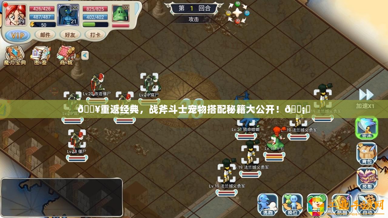 ??重返經典，戰斧斗士寵物搭配秘籍大公開！???