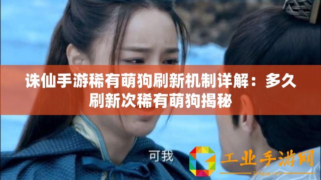 誅仙手游稀有萌狗刷新機制詳解：多久刷新次稀有萌狗揭秘