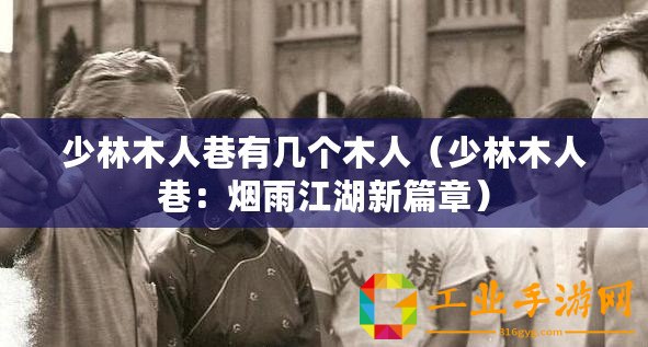 少林木人巷有幾個木人（少林木人巷：煙雨江湖新篇章）