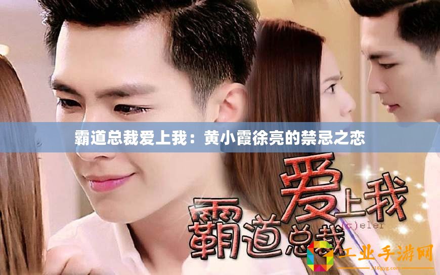 霸道總裁愛上我：黃小霞徐亮的禁忌之戀