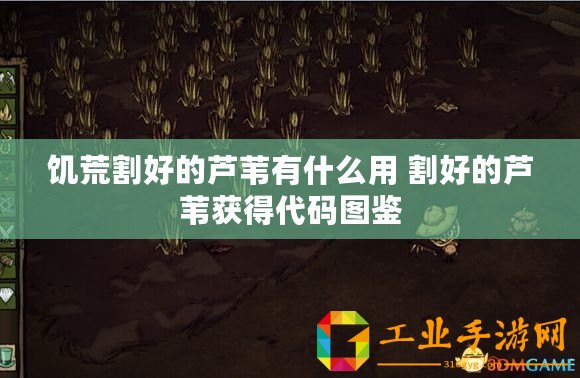 饑荒割好的蘆葦有什么用 割好的蘆葦獲得代碼圖鑒