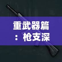 重武器篇：槍支深度解析