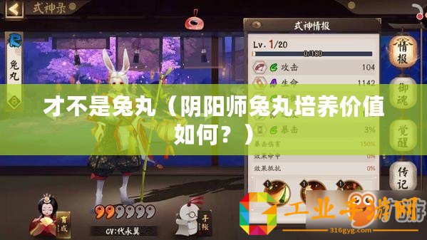 才不是兔丸（陰陽師兔丸培養(yǎng)價(jià)值如何？）