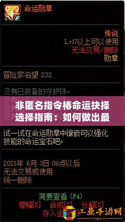 非匿名指令椿命運抉擇選擇指南：如何做出最佳選擇？