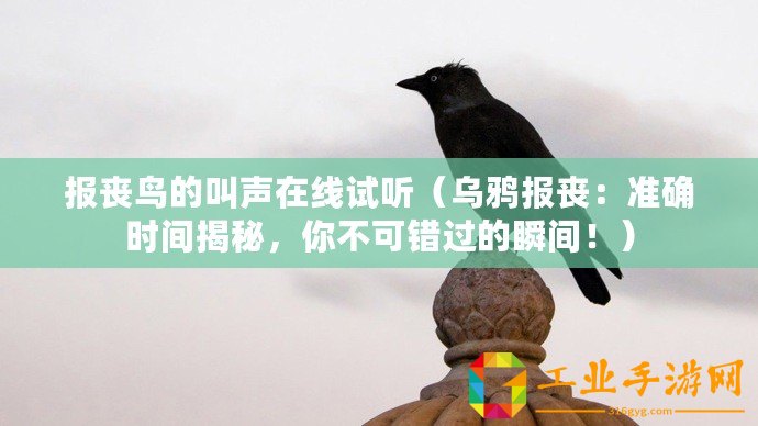 報喪鳥的叫聲在線試聽（烏鴉報喪：準確時間揭秘，你不可錯過的瞬間！）