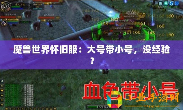 魔獸世界懷舊服：大號帶小號，沒經驗？